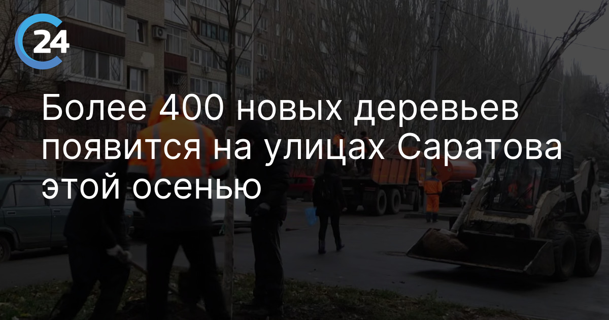 Более 400 новых деревьев появится на улицах Саратова этой осенью