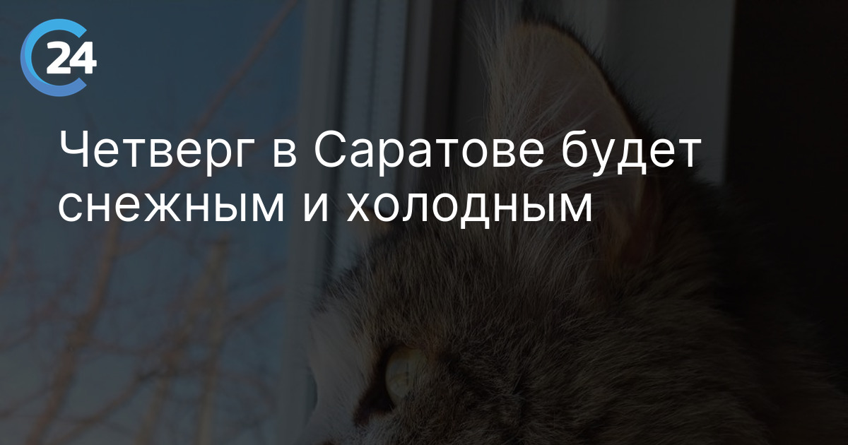 Четверг в Саратове будет снежным и холодным