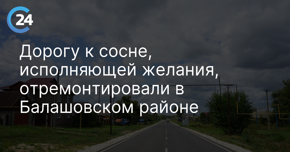 Дорогу к сосне, исполняющей желания, отремонтировали в Балашовском районе