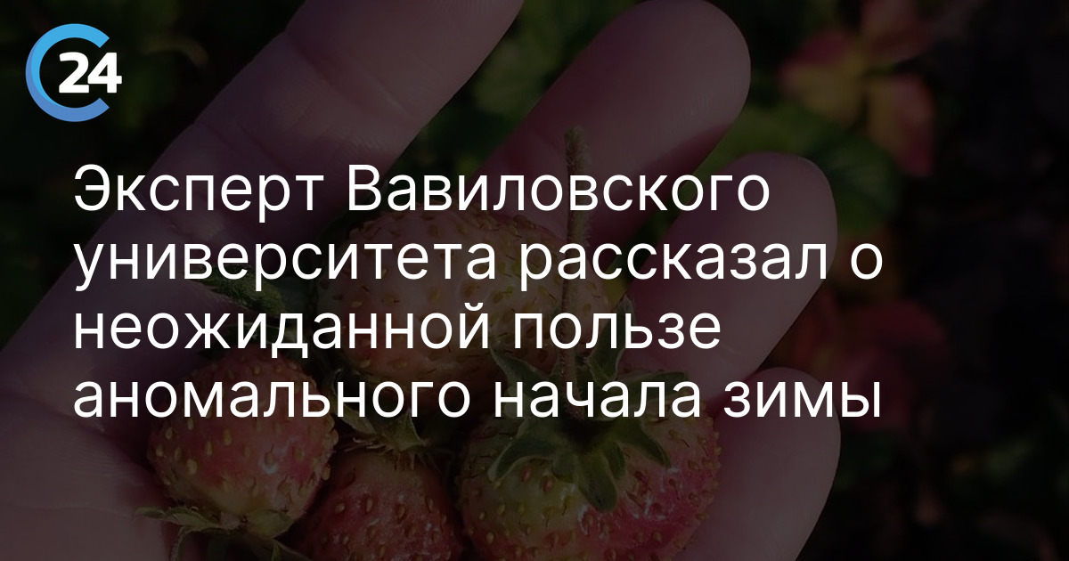 Эксперт Вавиловского университета рассказал о неожиданной пользе аномального начала зимы