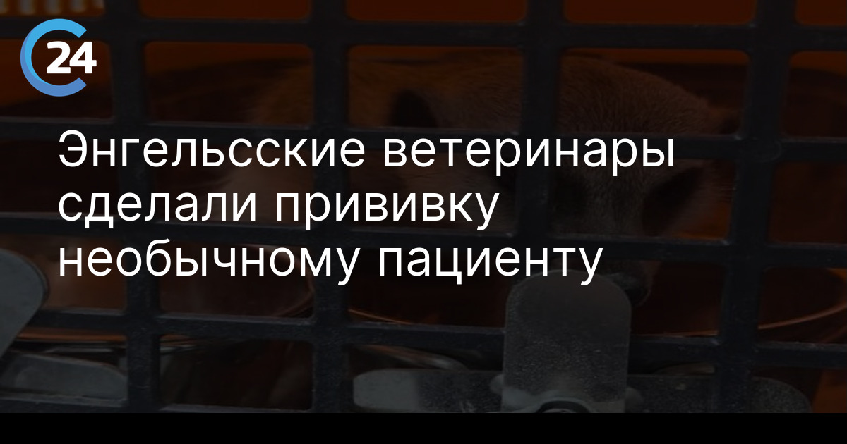 Энгельсские ветеринары сделали прививку необычному пациенту