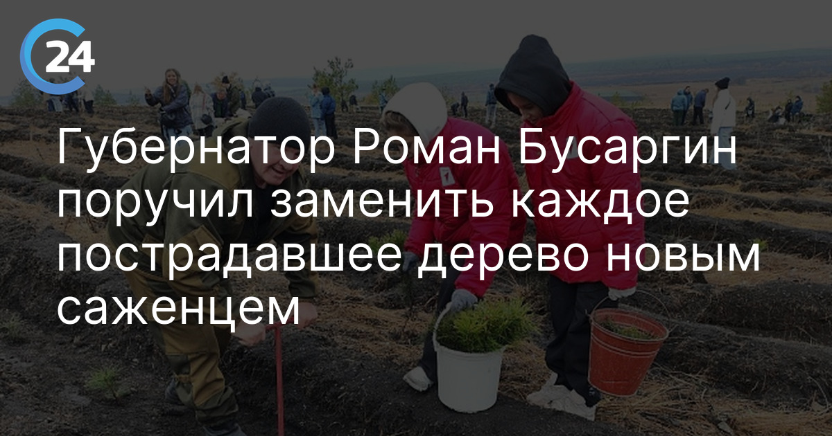Губернатор Роман Бусаргин поручил заменить каждое пострадавшее дерево новым саженцем