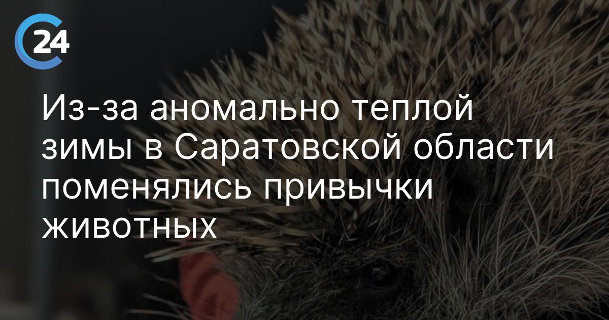 Из-за аномально теплой зимы в Саратовской области поменялись привычки животных