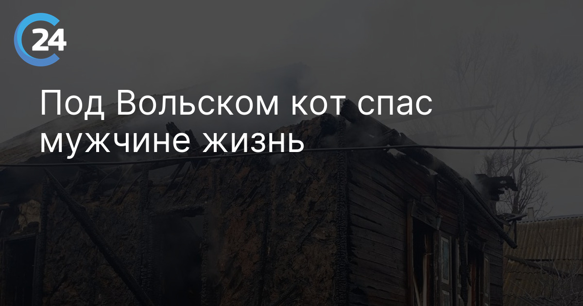 Под Вольском кот спас мужчине жизнь