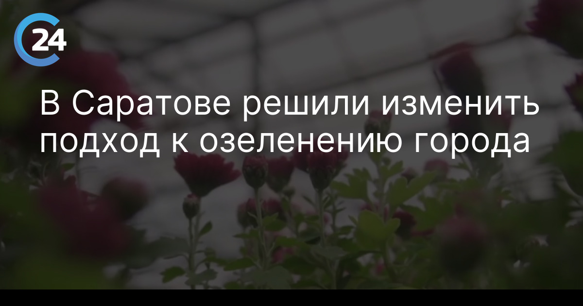 В Саратове решили изменить подход к озеленению города