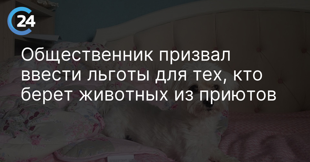 Общественник призвал ввести льготы для тех, кто берет животных из приютов