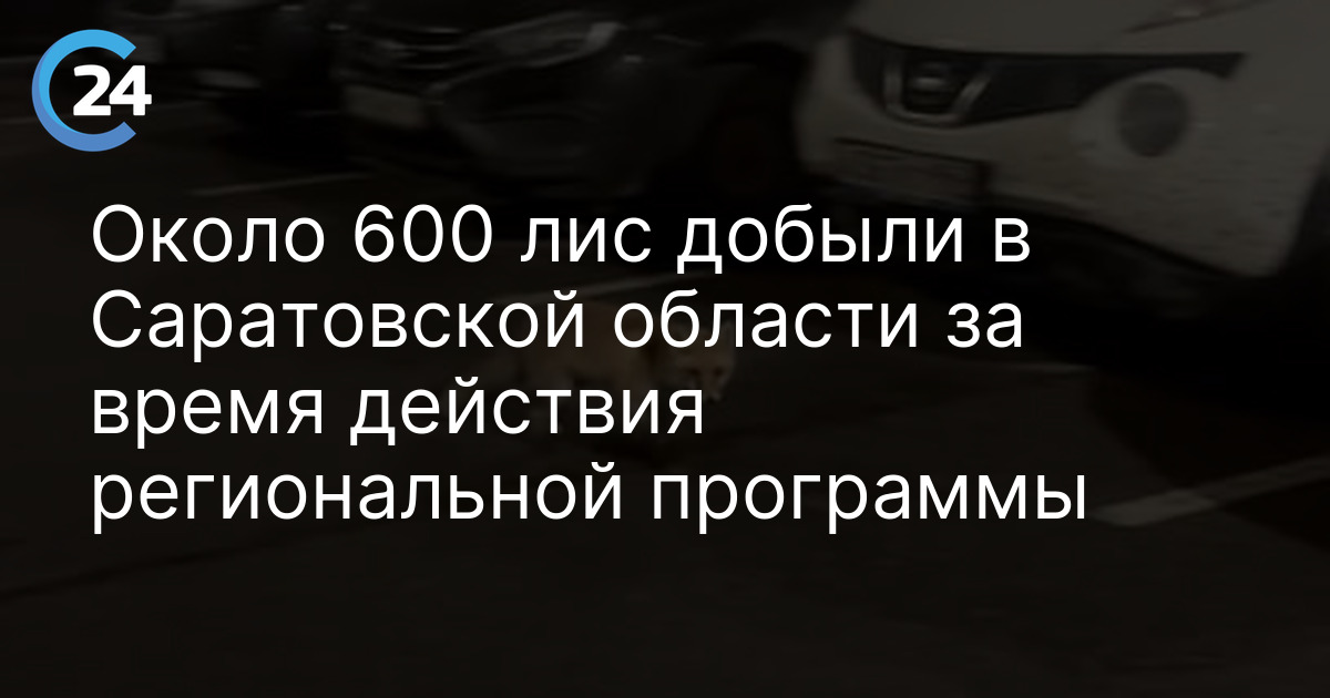 Около 600 лис добыли в Саратовской области за время действия региональной программы