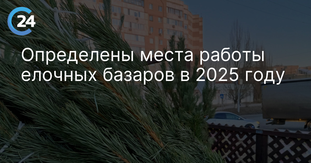 Определены места работы елочных базаров в 2025 году