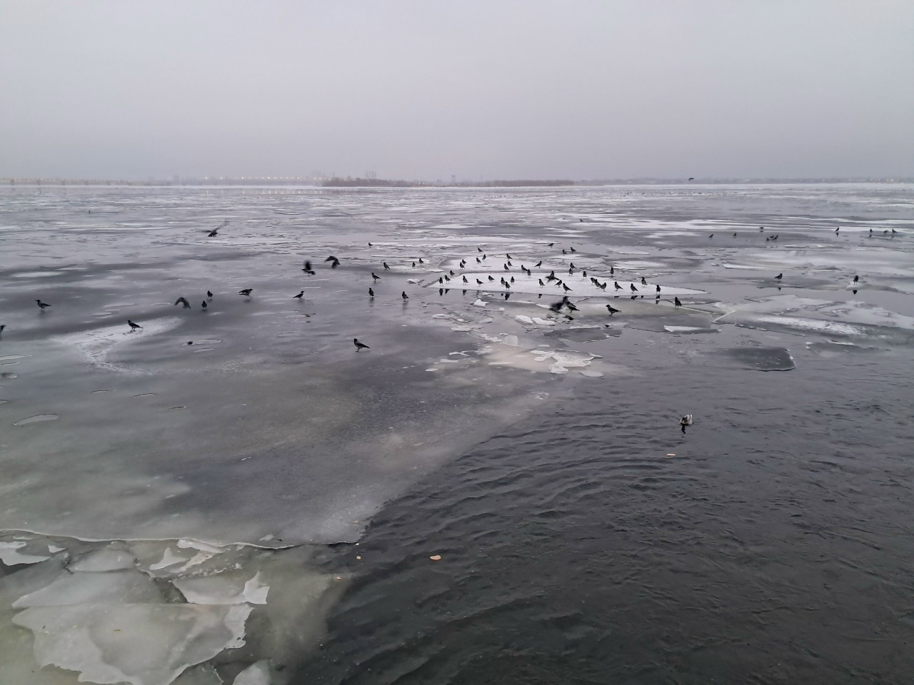 Волга, лед, полынья