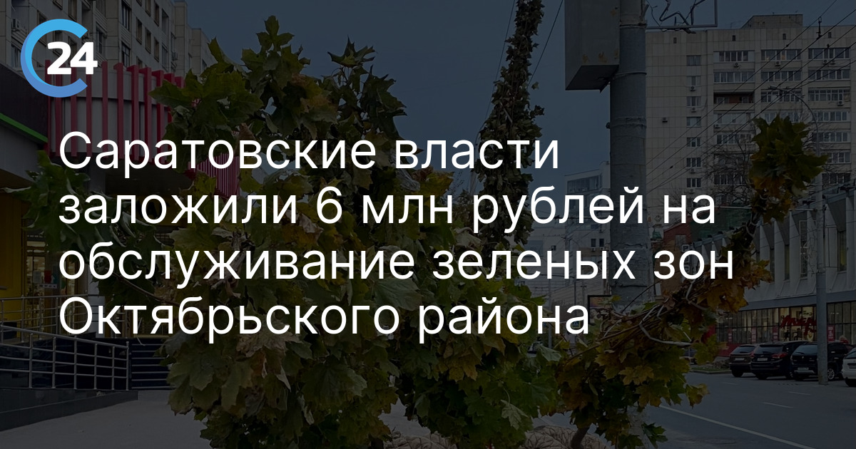 Саратовские власти заложили 6 млн рублей на обслуживание зеленых зон Октябрьского района