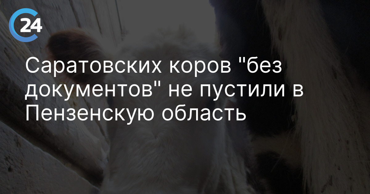 Саратовских коров "без документов" не пустили в Пензенскую область
