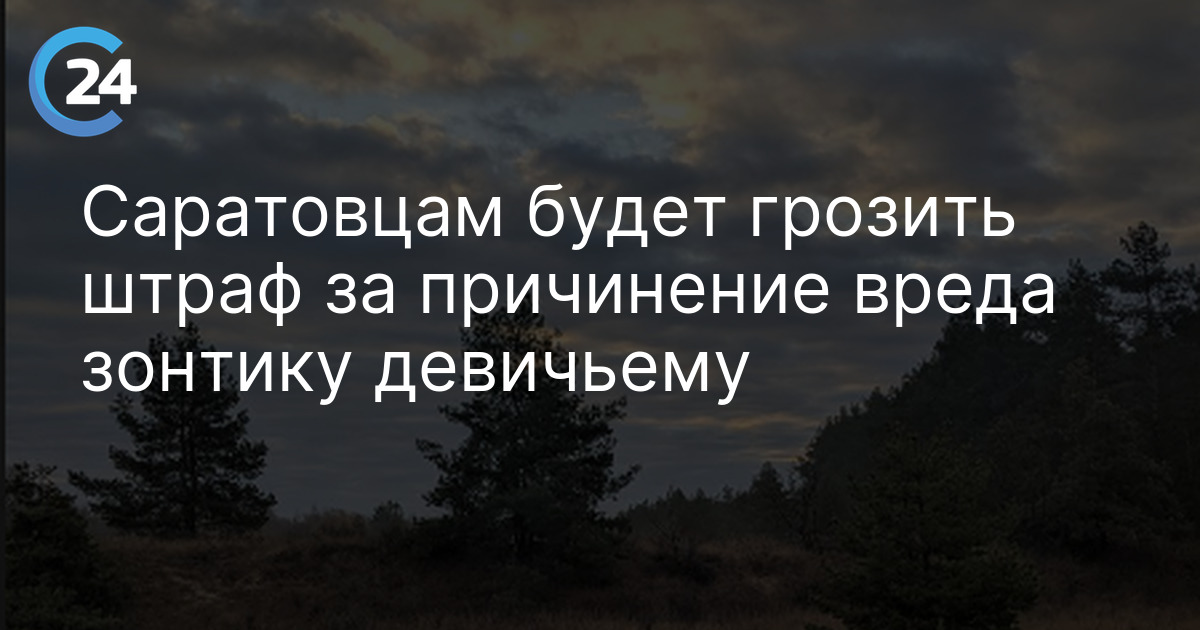 Саратовцам будет грозить штраф за причинение вреда зонтику девичьему