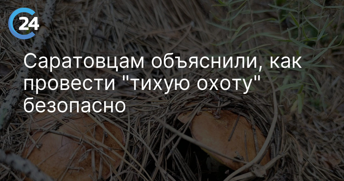 Саратовцам объяснили, как провести "тихую охоту" безопасно