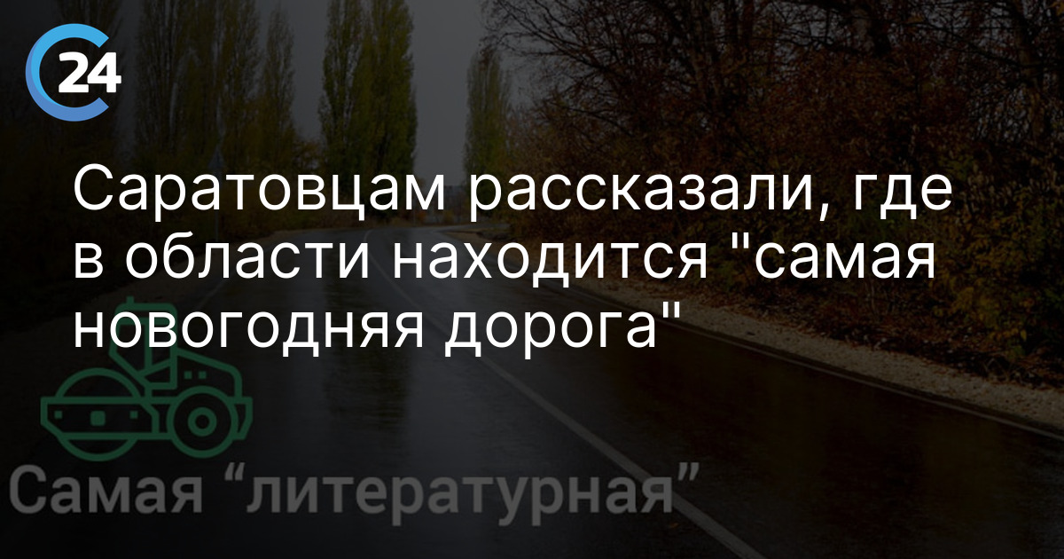 Саратовцам рассказали, где в области находится "самая новогодняя дорога"