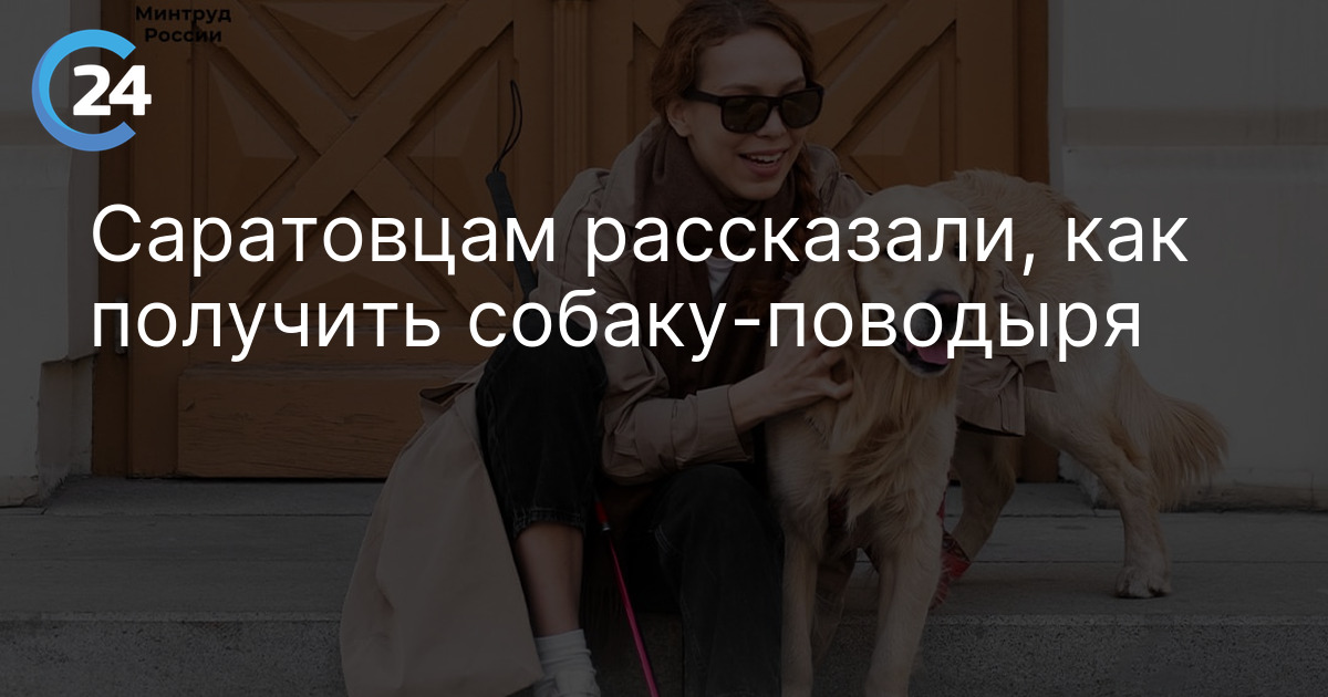 Саратовцам рассказали, как получить собаку-поводыря