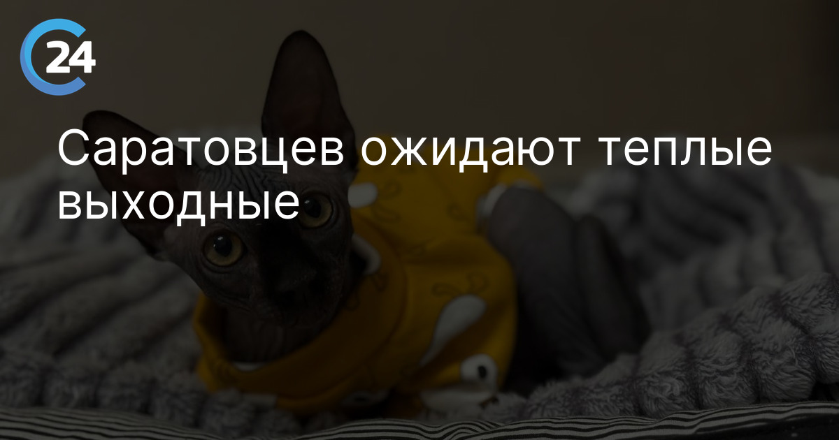 Саратовцев ожидают теплые выходные