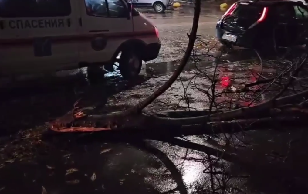 Снимок экрана 2025-12-09 192455.png