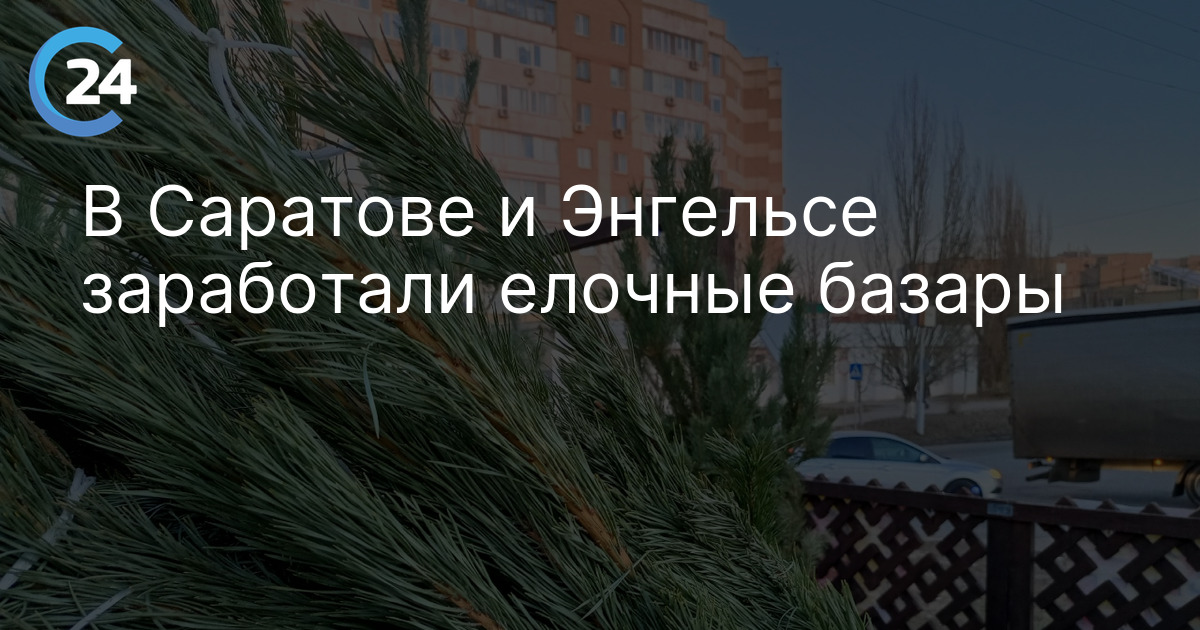 Стали известны адреса елочных базаров в Саратове и Энгельсе