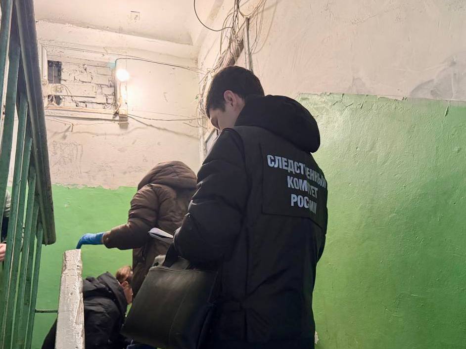 следственный комитет