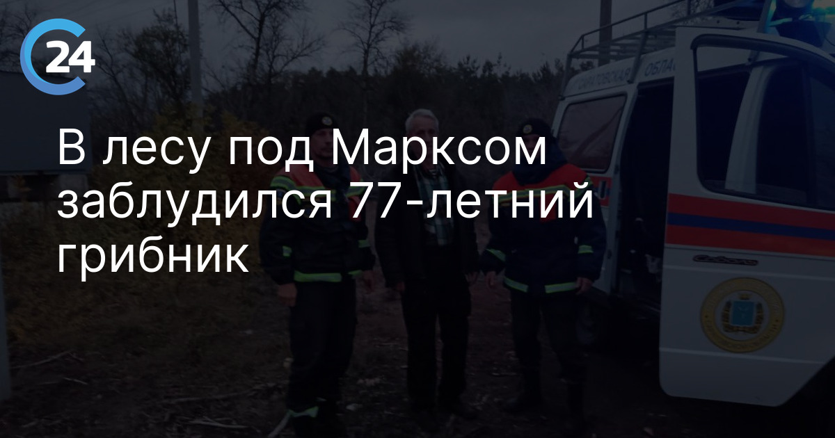 В лесу под Марксом заблудился 77-летний грибник