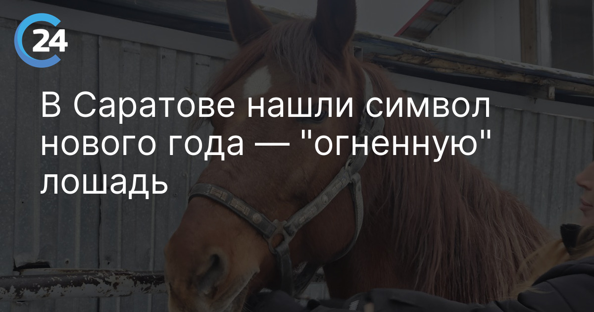 В Саратове нашли символ нового года — "огненную" лошадь