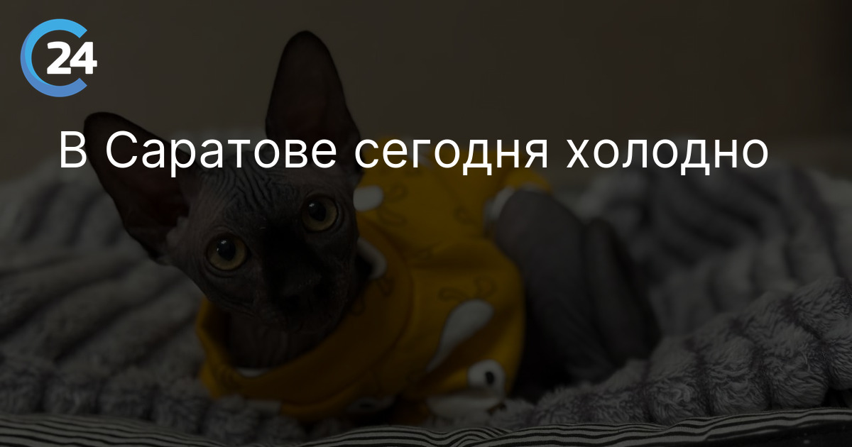 В Саратове сегодня холодно