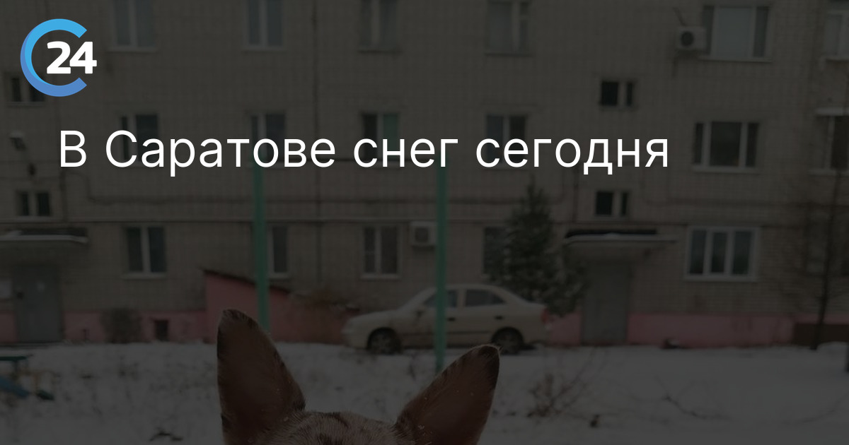 В Саратове снег сегодня