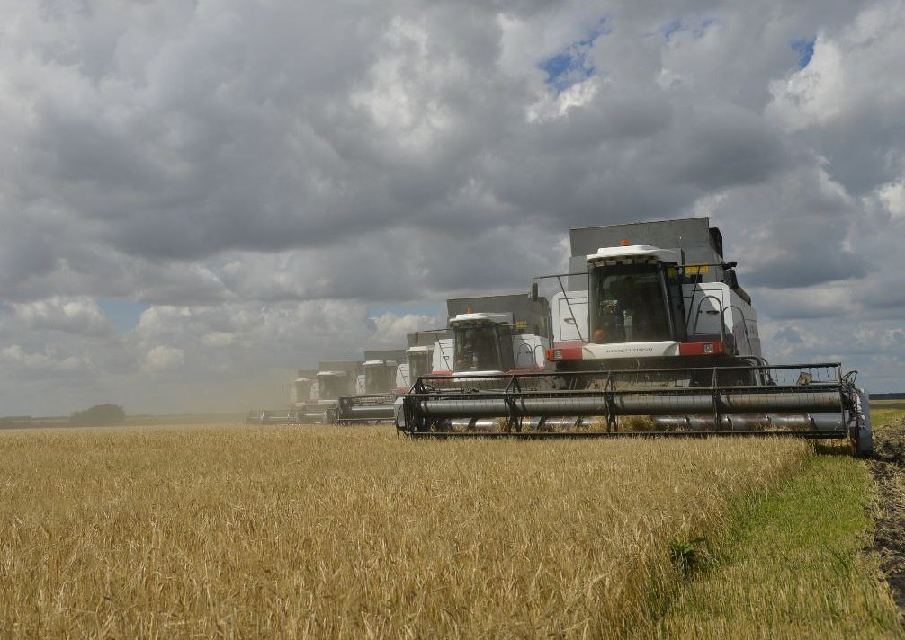 сбор зерна.jpg