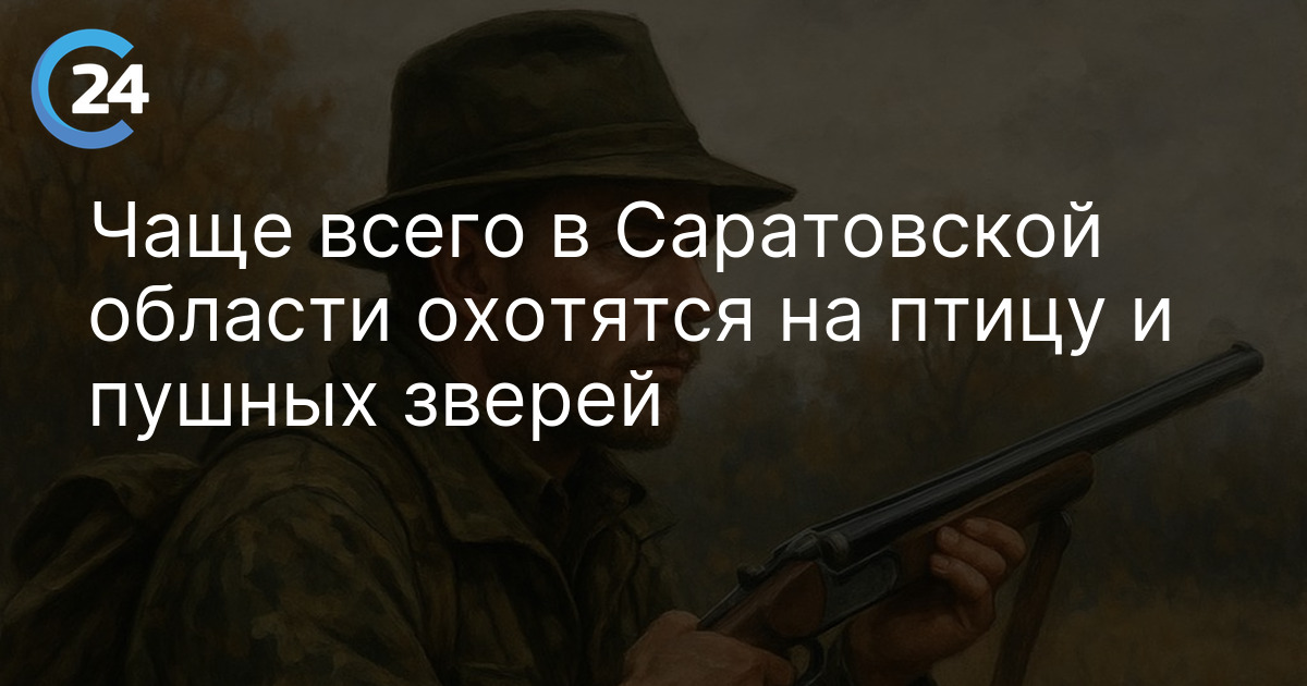 Чаще всего в Саратовской области охотятся на птицу и пушных зверей