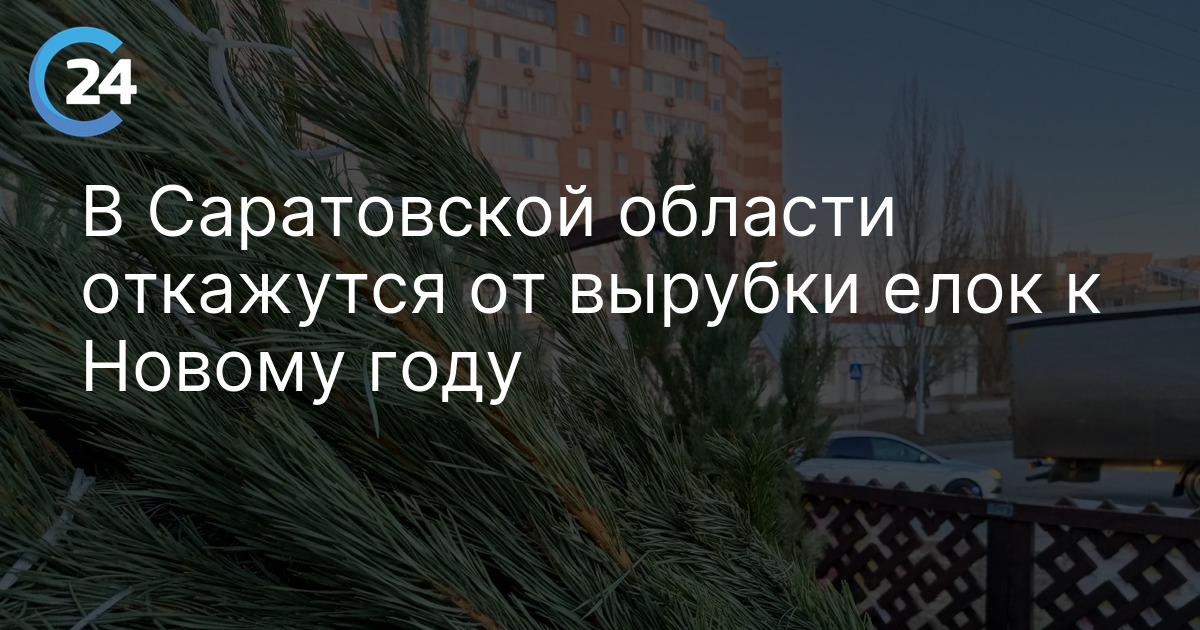 В Саратовской области откажутся от вырубки елок к Новому году