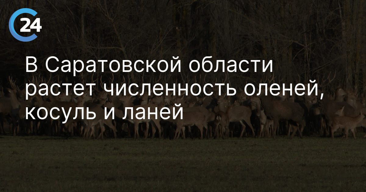 В Саратовской области растет численность оленей, косуль и ланей