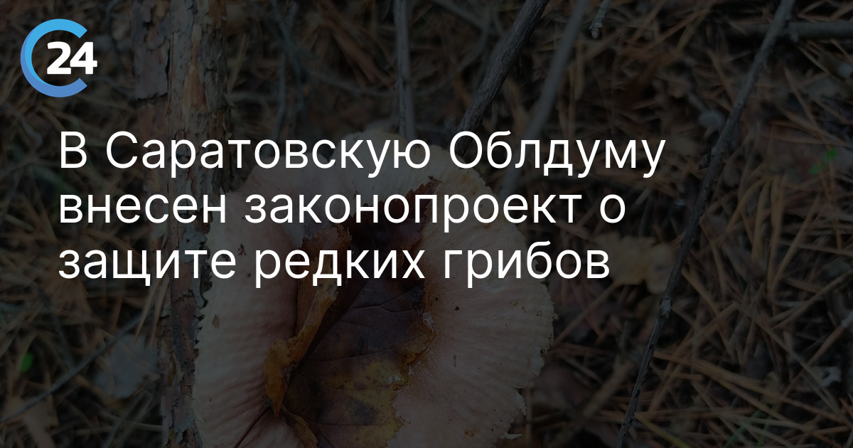 В Саратовскую Облдуму внесен законопроект о защите редких грибов