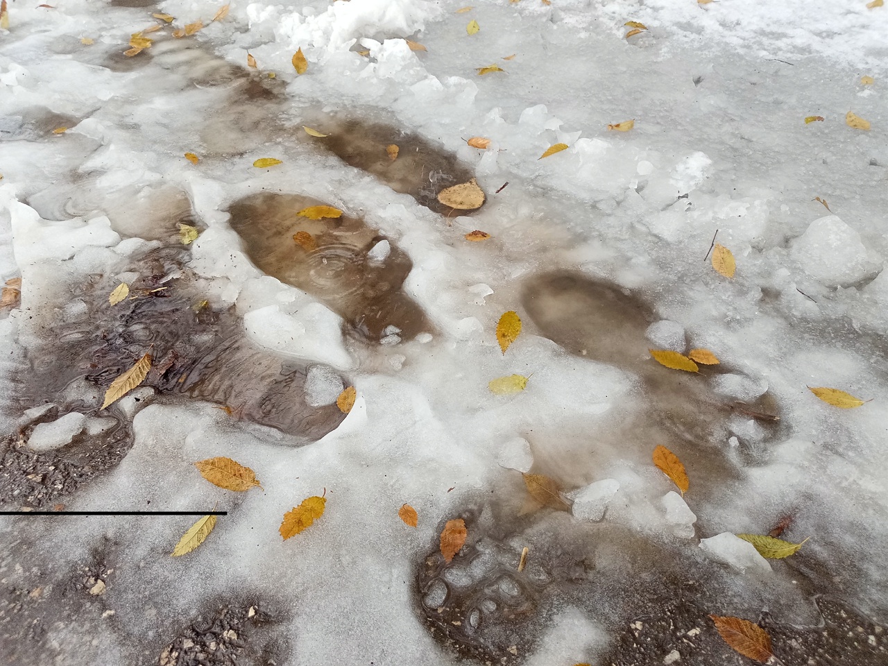 Снег с дождем