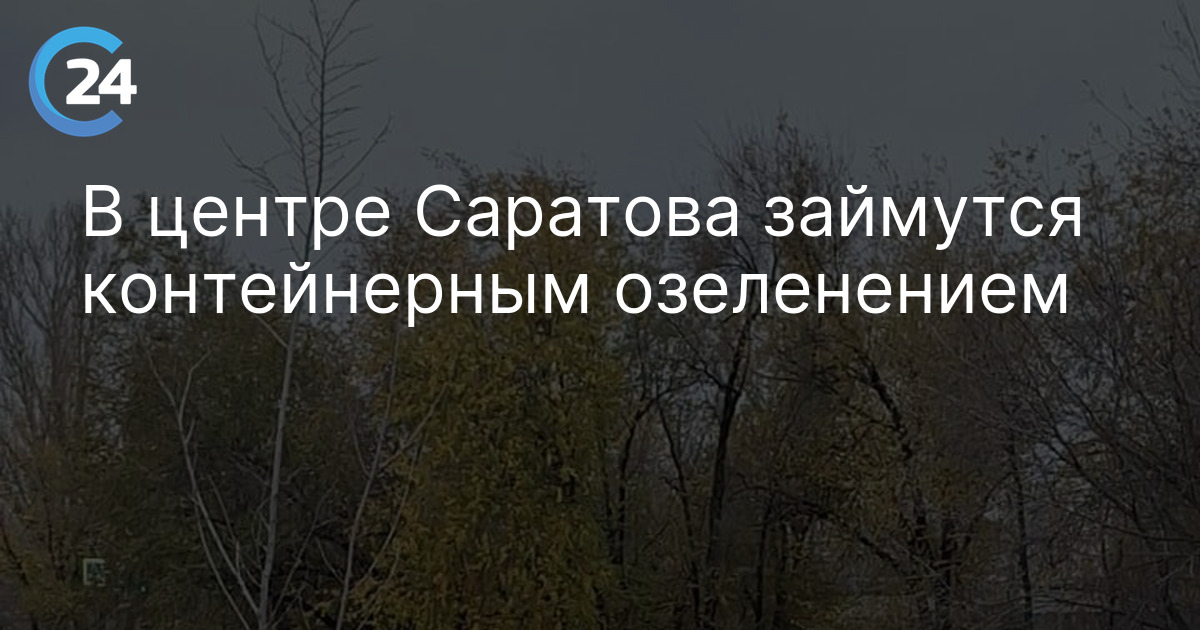 В центре Саратова займутся контейнерным озеленением